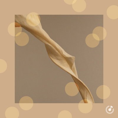 Музыкальные комплименты и оды женщинам собраны в плейлист