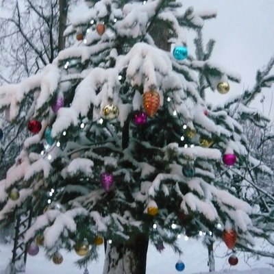Фильмы, киноконцерты, &laquo;Любимый Новый год&raquo; и &laquo;Техно-Ёлку&raquo; покажут российские телеканалы в праздничную