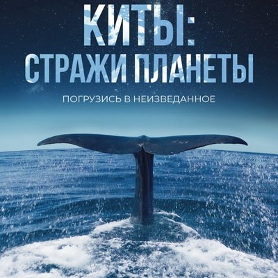 Жан Дюжарден и Сергей Бурунов озвучили фильм &laquo;Киты: Стражи планеты&raquo;