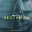 Сериал &laquo;Лестница&raquo; с Колином Фертом и Тони Колетт покажут в России