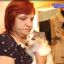 Жалобы соседей, зловонный запах и загаженная квартира: женщина содержит 130 кошек