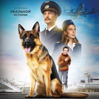 «Пальма» Александра Домогарова-младшего «Пальма» выходит в китайский прокат «Пальма» Александра Домогарова-младшего «Пальма» выходит в китайский прокат