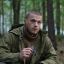 Дикого волка привезут из Чечни в Москву в сериале &laquo;Абрек&raquo;