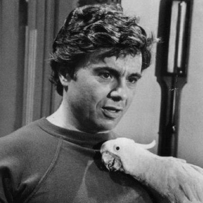 Умер звезда сериала &laquo;Баретта&raquo; Роберт Блейк