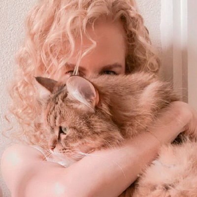 Николь Кидман раскроет жуткие секреты Холланда Николь Кидман раскроет жуткие секреты Холланда