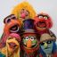 Маппеты из Electric Mayhem запишут свой дебютный альбом