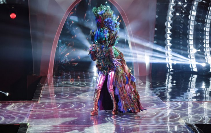 &laquo;Меня ликвидировали из-за костюма!&raquo;: Павлин снял маску и возмутился предвзятостью жюри